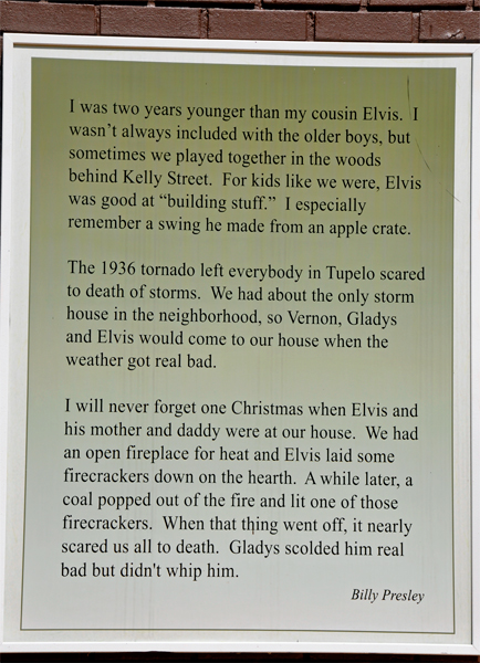 story of Elvis by  Billy Presley