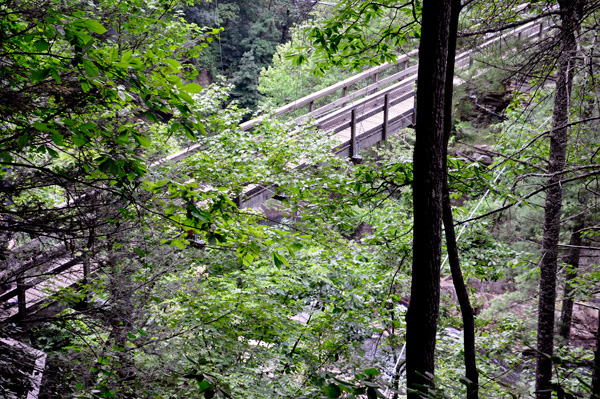 View of the suspension bridge