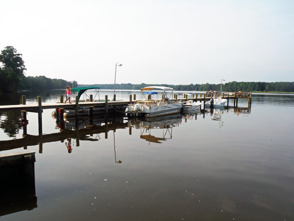 boats at the dock in the campground