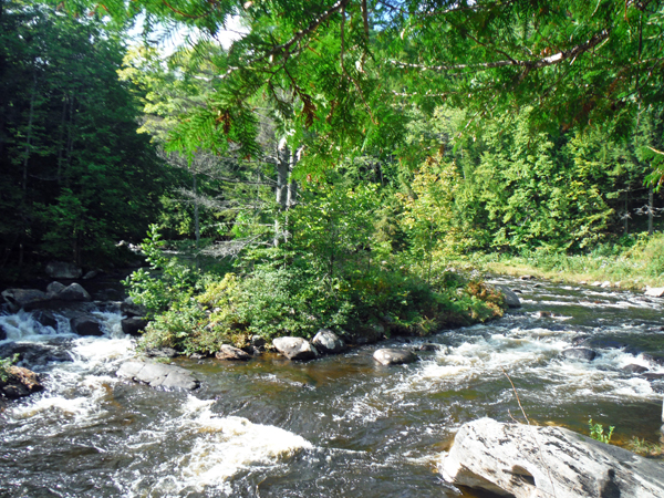 Trout Brook