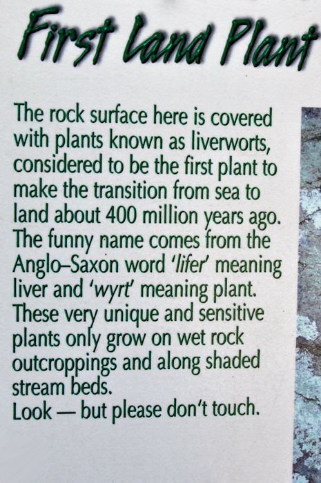sign about the plants covering the rocks