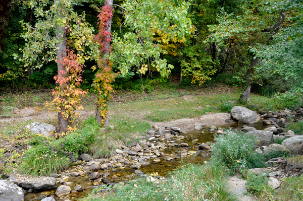 a stream at fall foliage