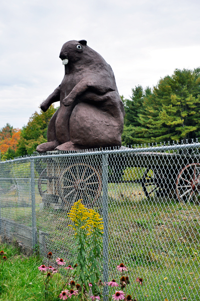 a giant bever on a wagon