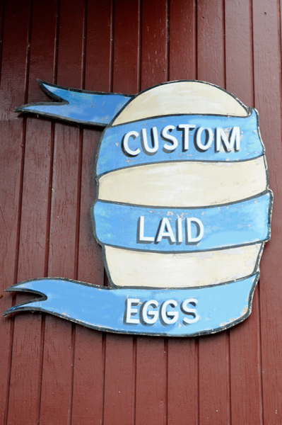 custom laid eggs sign