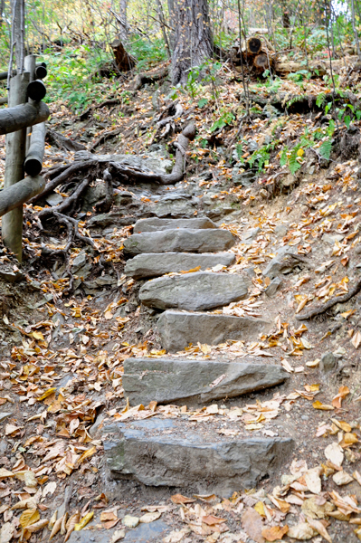 rocky stairs at Raymondskill Falls 