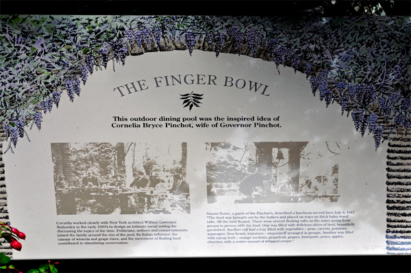 sign: The Finger Bowl