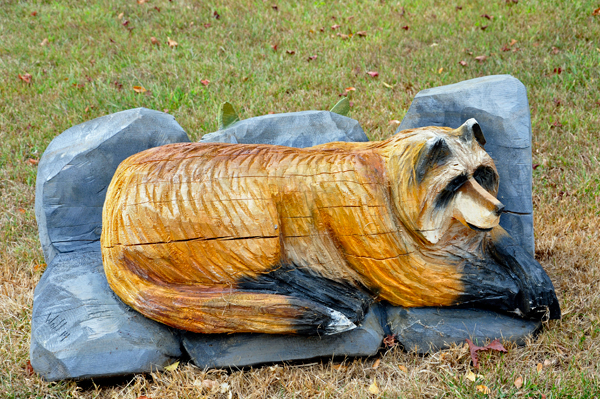 racoon sculpture