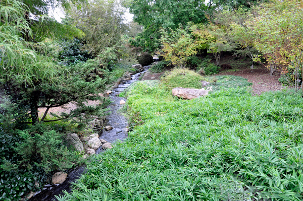 stream in The Tea Garden