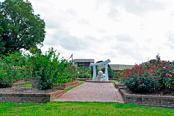 The Wilson Rose Garden Sculpture and roses