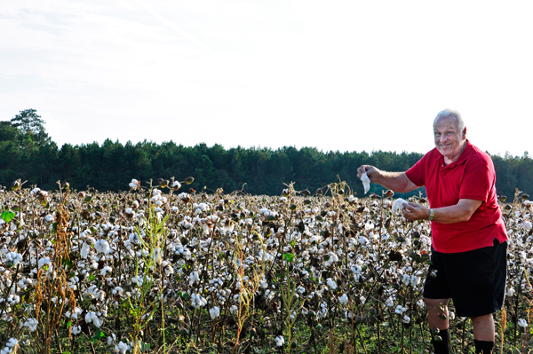 Lee picking cotton