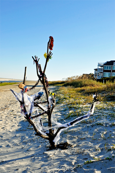 A Halloween tree on the beach