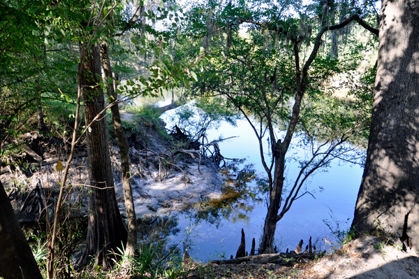 the spring water leading towards the Suwannee River 