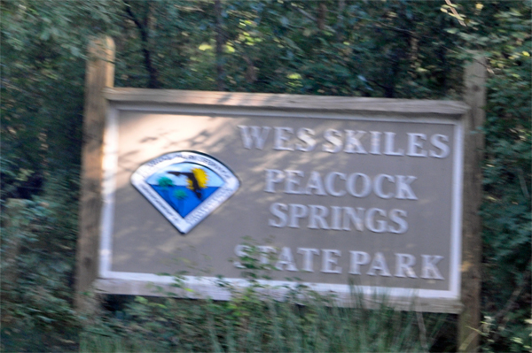 Wesskiles Peacock Springs state Park