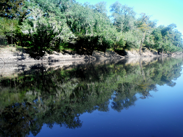 Suwannee River in Mayo, FL