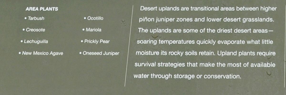 Desert Uplands sign