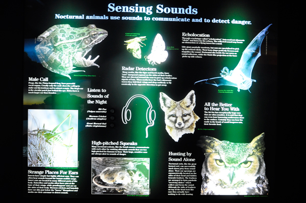 sign: sensing sounds