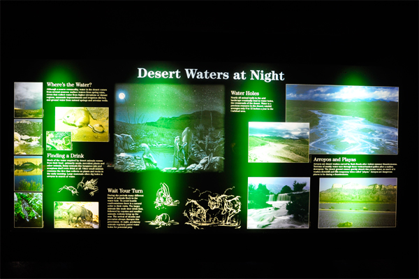 sign: desert waters at night