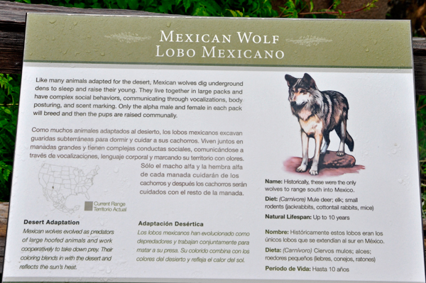 Mexican Wolf sign