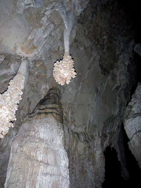 Lions Tail: Stalactite and popcorn