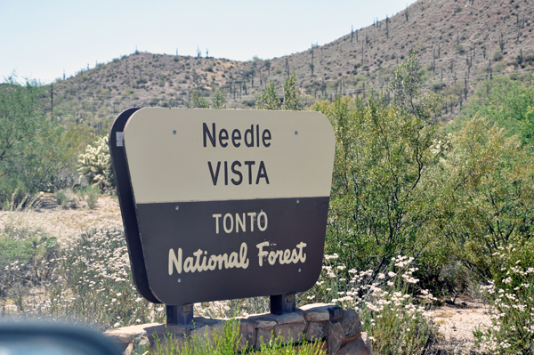 Needle Vista sign