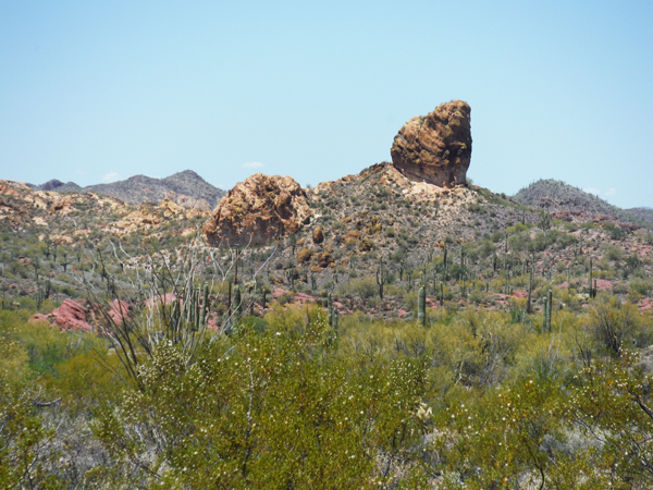 an interesting rock in Tonto National Fores
