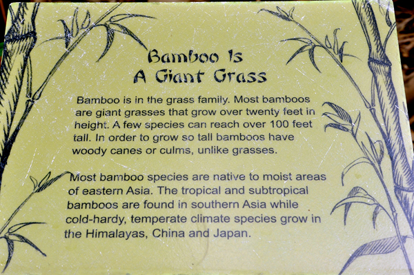 bamboo grass label