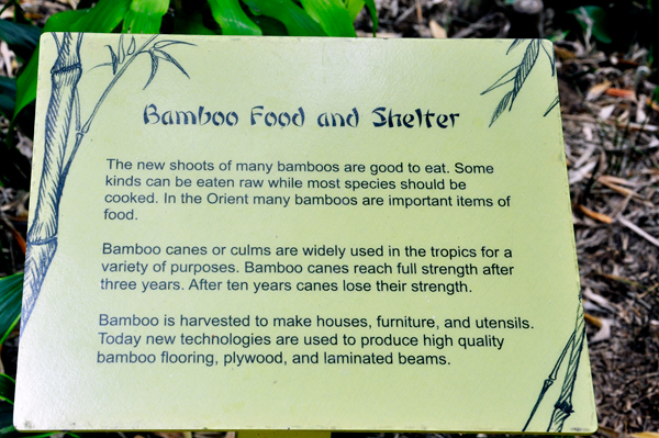 bamboo food sign