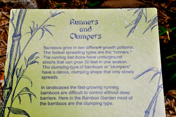 runners and Chumpers sign