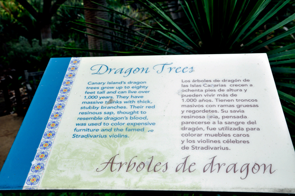 Dragon Trees sign