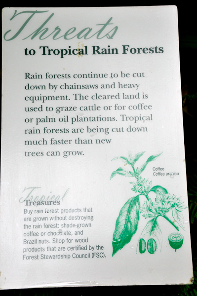 rainforest threats