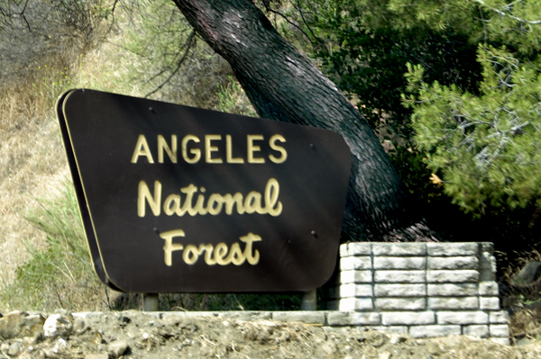 Angeles National Forest sign
