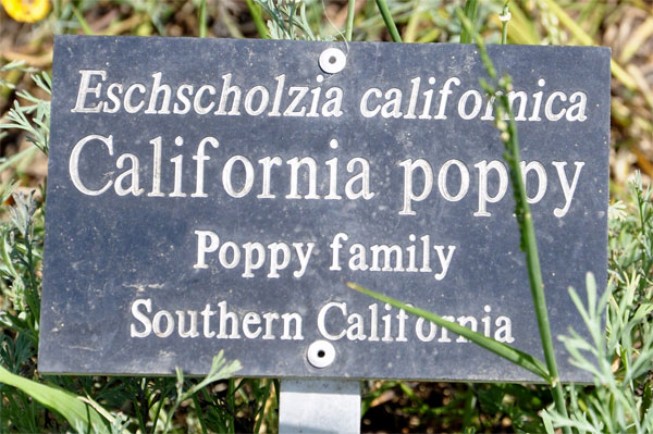 California Poppy sign