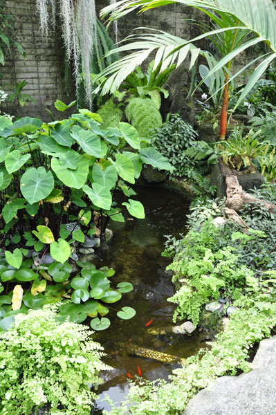 water in the Tropical Greenhouse