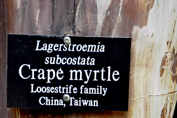 Crape myrtle sign