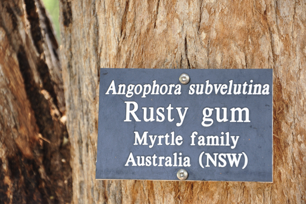 Rusty Gum sign