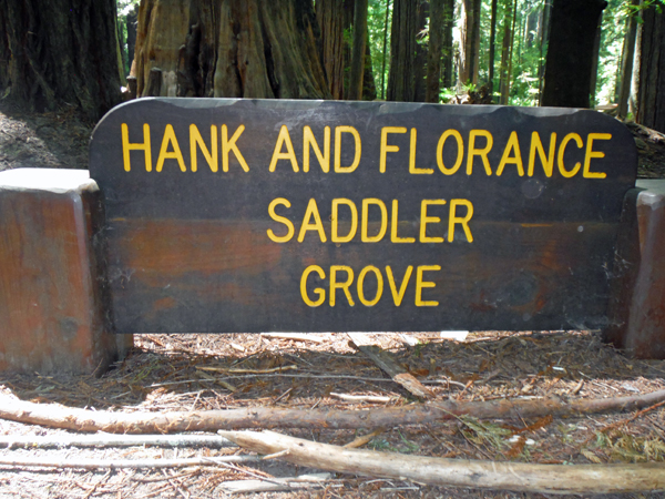 Saddler Grove sign