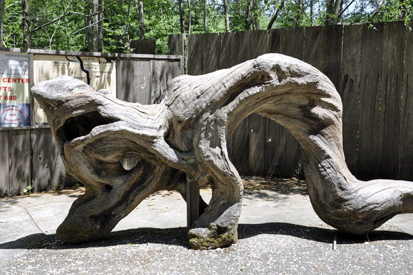 redwood shape