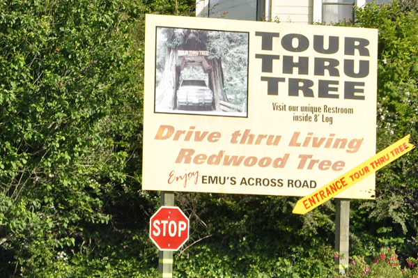 Tour thru tree sign