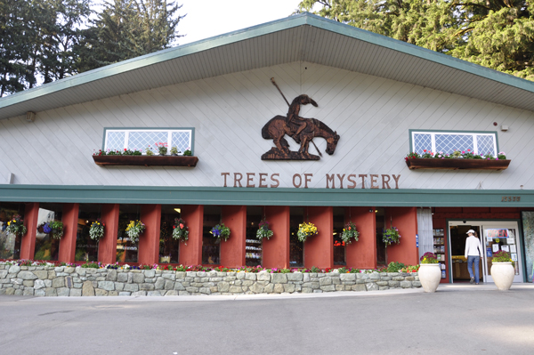 trees of Mystery gift shop