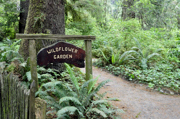 sign: Wildflower Garden