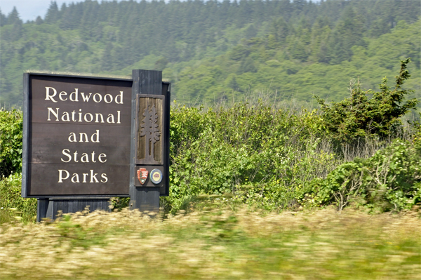Redwood National Forest Sign