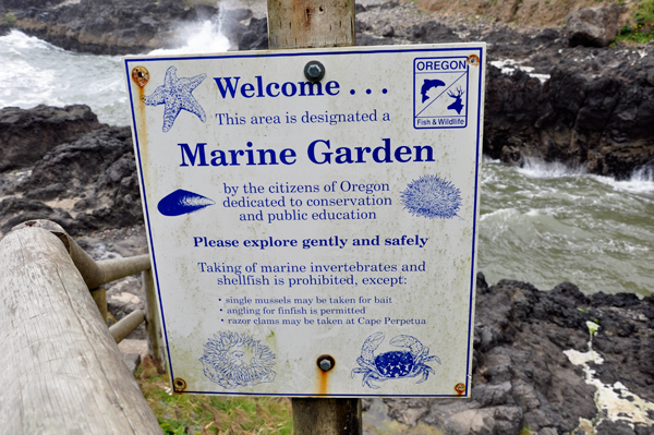 sign: Do not take marine stuff 