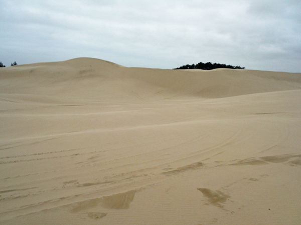 This sand dune is much bigger than it loks in the picture