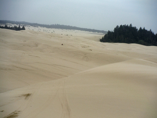 sand dune and dune buggy dots