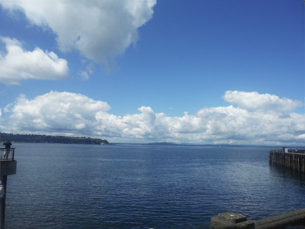 view from the Seattle Waterfront