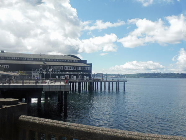 view from the Seattle Waterfront