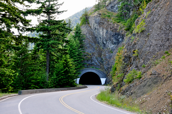 a tunnel within Olympic National Park