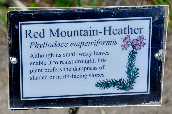 sign: Red Mountain-Heather flowe
