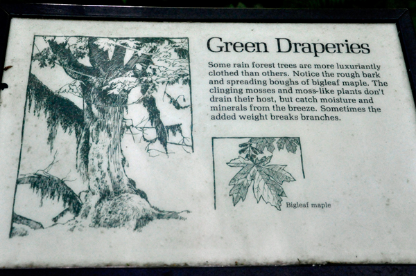 sign about the Green Draperies