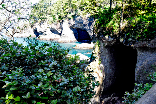 the Sea Caves at Cape Flattery